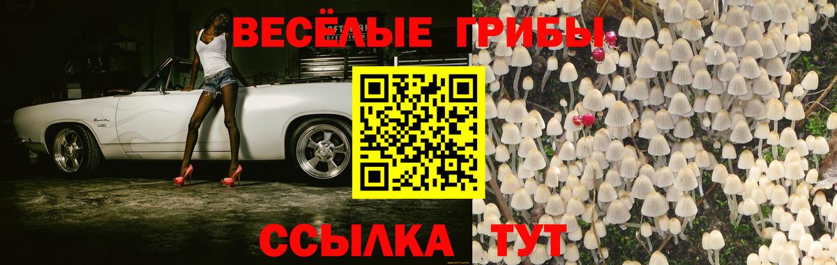 Псилоцибиновые грибы мухоморы  Галлюциногенные грибы Cubensis  Вход с VPN  Уссурийск 
